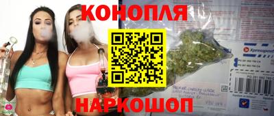 mdpv Лесосибирск