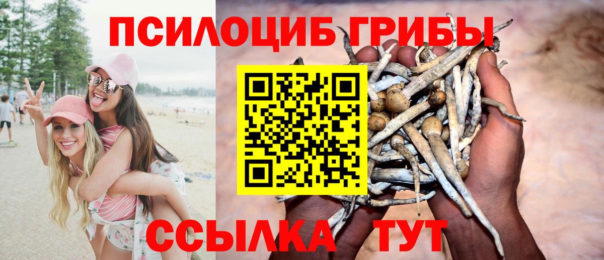 что такое   Вход с VPN  Елабуга  Галлюциногенные грибы мухоморы  Псилоцибиновые грибы Cubensis 