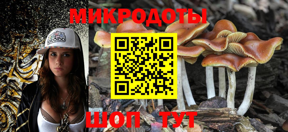 Псилоцибиновые грибы Cubensis Елабуга